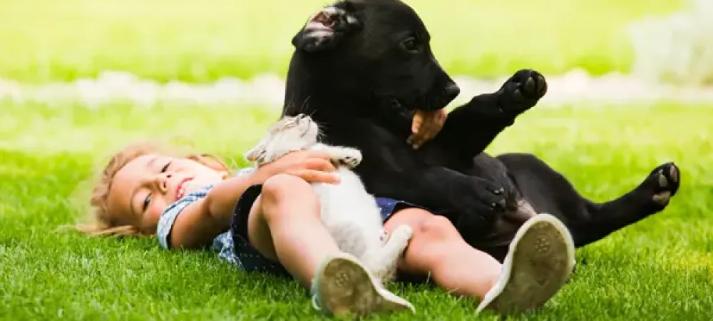 girl playing with dog and cat